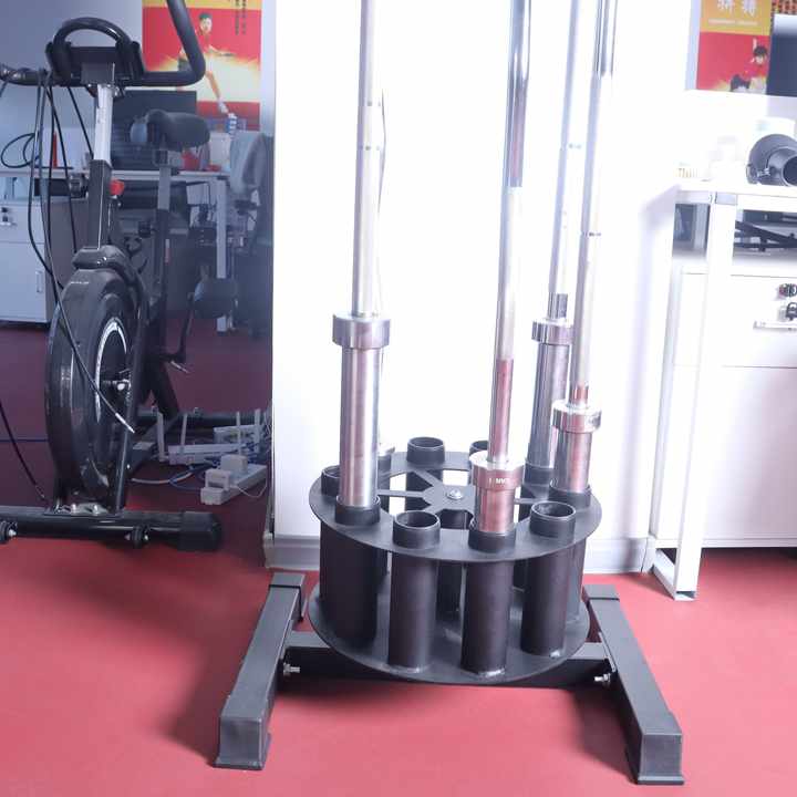 Barbell Holder Storage & Organ - Barbell Curl Bar review and price