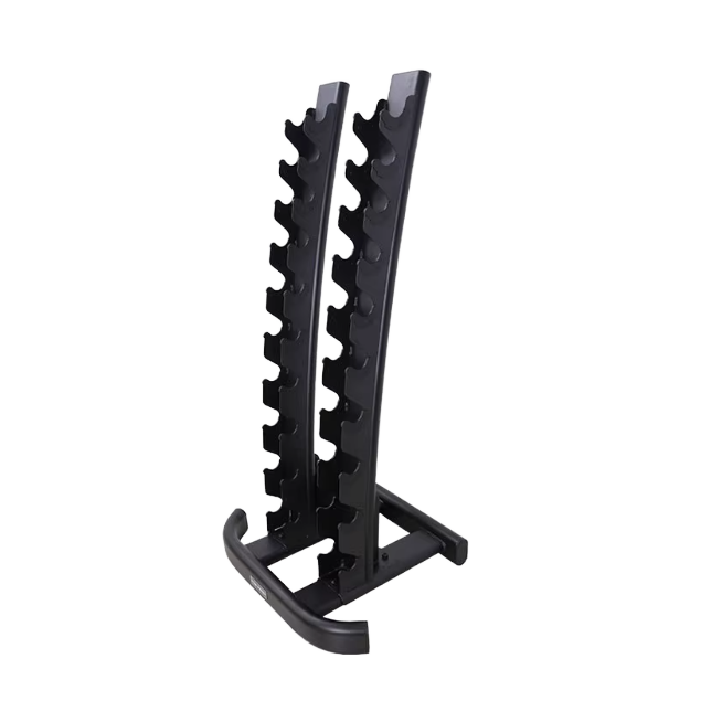 2026 Gym Dumbbell Rack Bench T - Home Gym Weight Bench review and price